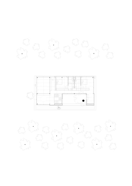 Eucalyptus House